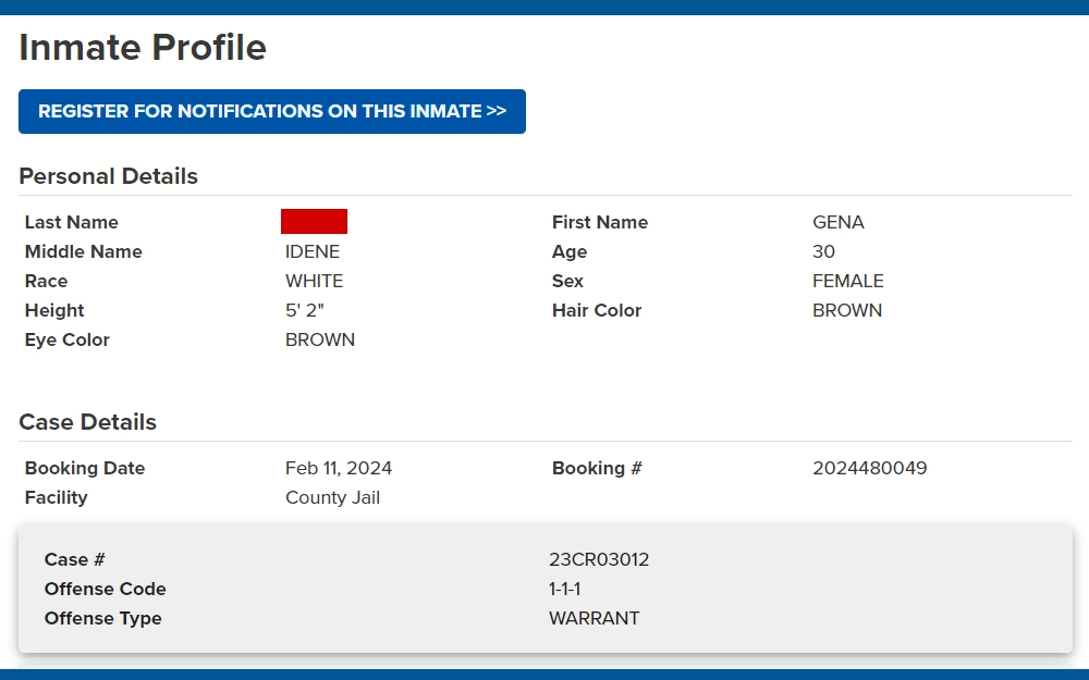 A screenshot of an inmate profile from the Denver Sheriff Department inmate search displays the name, age, race, sex, height, eye and hair colors, and some case details.